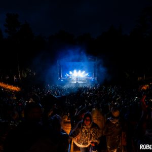 Bostheater - Robert Westera Fotografie-8635