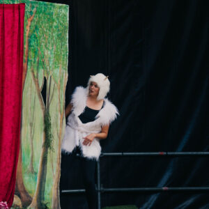 Roodkapje_BTO@KimBosscher_LR4