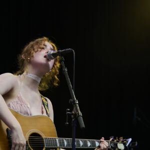 Racoon_0Z83250_RobertWestera <2mb